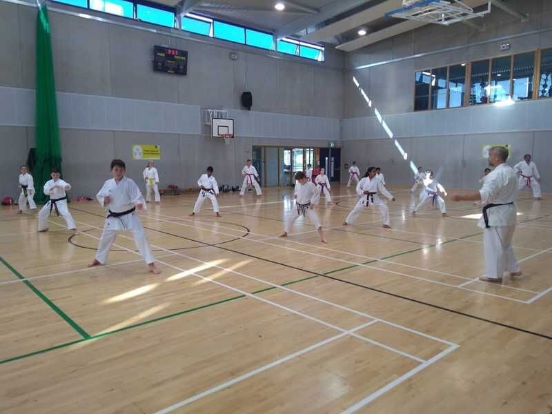 Karate Lesson at the Adamstown dojo